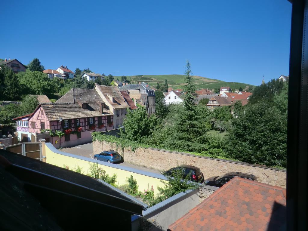 Vue du séjour sur les vignes - Gîte à Turckheim